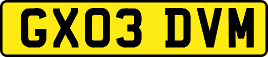 GX03DVM