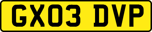GX03DVP
