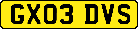 GX03DVS
