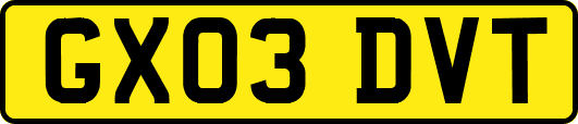 GX03DVT