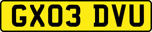 GX03DVU