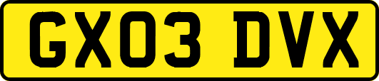 GX03DVX