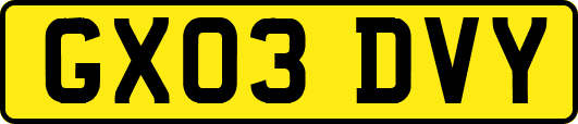 GX03DVY