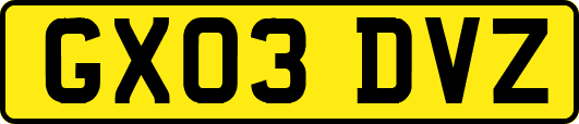 GX03DVZ