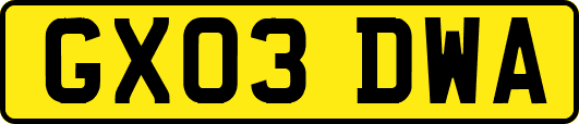 GX03DWA