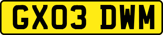 GX03DWM