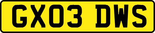GX03DWS