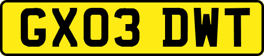 GX03DWT