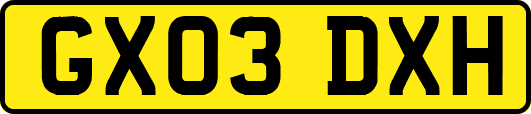 GX03DXH