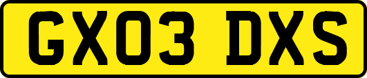GX03DXS