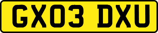 GX03DXU