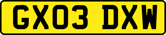 GX03DXW