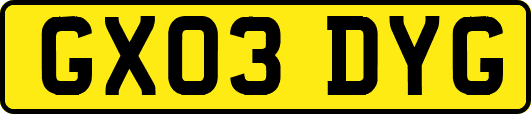 GX03DYG