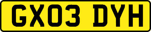 GX03DYH