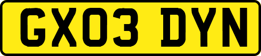 GX03DYN