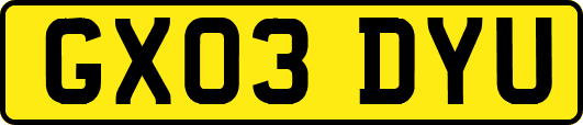 GX03DYU