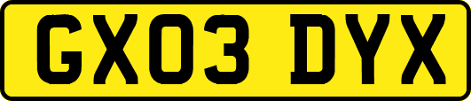 GX03DYX
