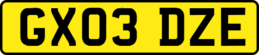 GX03DZE