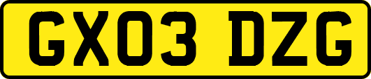 GX03DZG