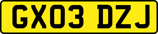 GX03DZJ