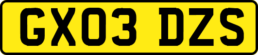 GX03DZS