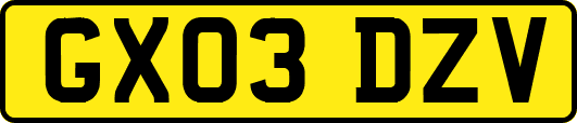 GX03DZV
