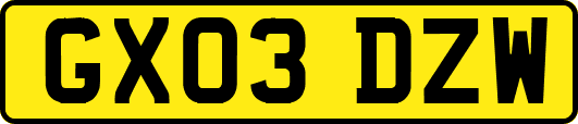 GX03DZW