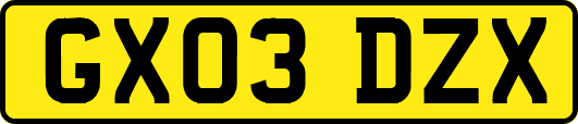 GX03DZX