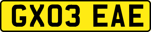 GX03EAE