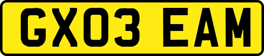 GX03EAM