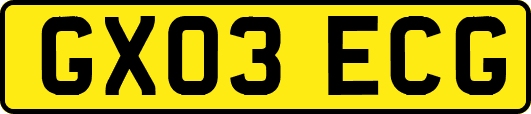 GX03ECG