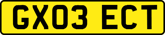 GX03ECT