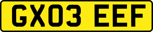GX03EEF