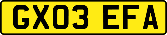 GX03EFA