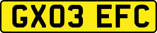 GX03EFC