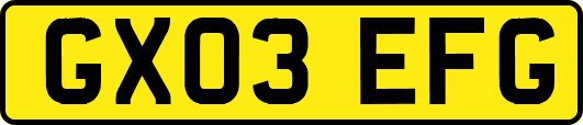 GX03EFG