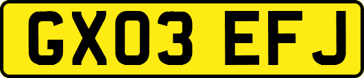 GX03EFJ