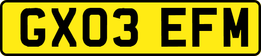 GX03EFM