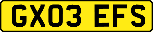 GX03EFS