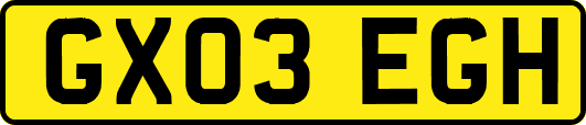 GX03EGH