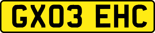 GX03EHC