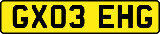 GX03EHG