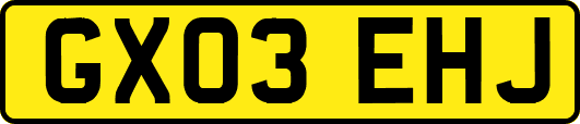 GX03EHJ