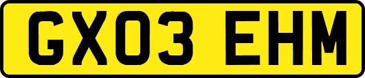 GX03EHM