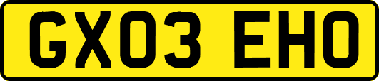 GX03EHO