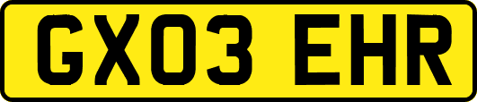 GX03EHR