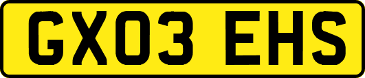 GX03EHS