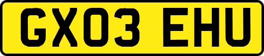 GX03EHU