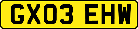 GX03EHW