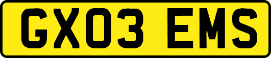 GX03EMS